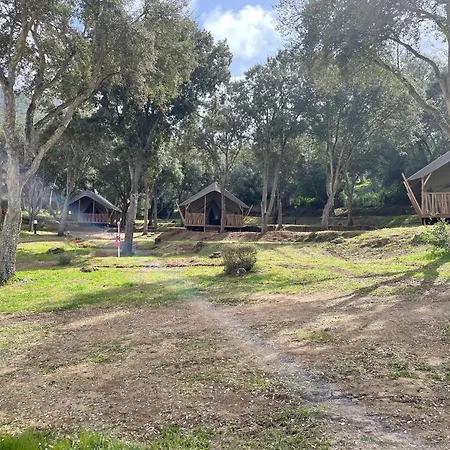 Lavallee Campo de lujo *